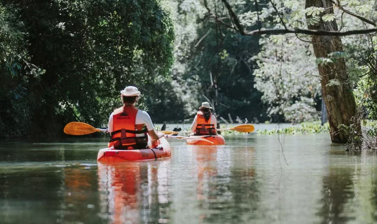 Explorar los Esteros del Iberá en bote, una aventura acuática que permite a los visitantes sumergirse en la serenidad y la belleza natural de sus aguas