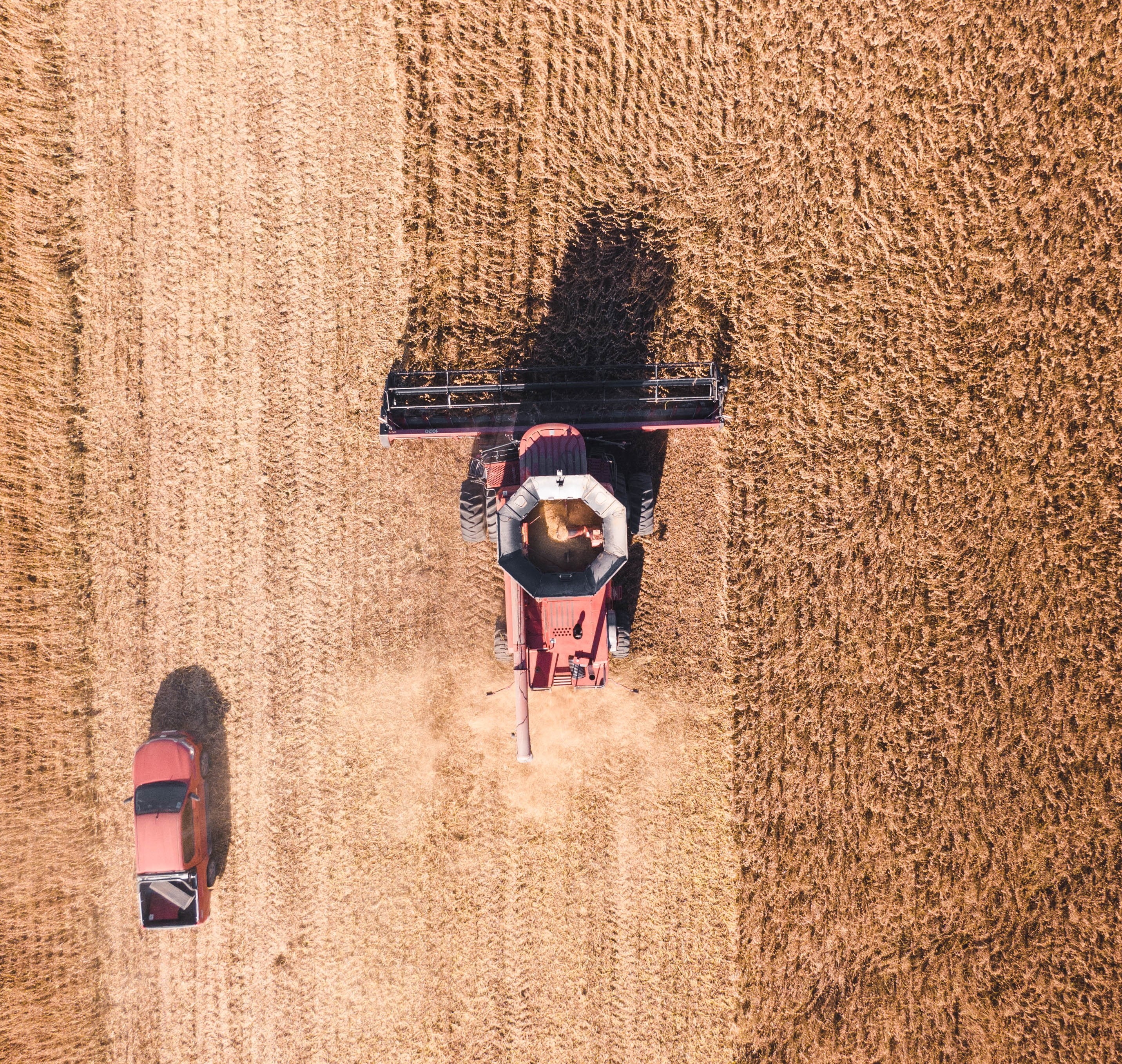 Agronegocios en Insud