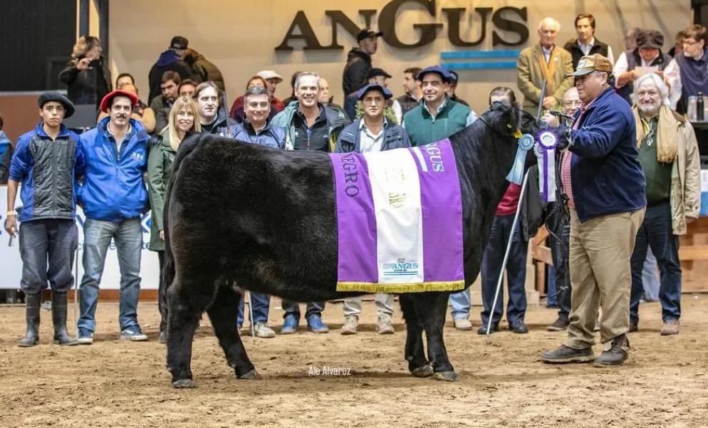 Los Murmullos ganó un premio